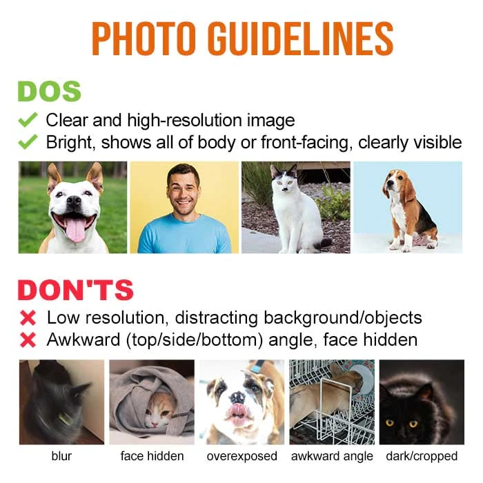 Pet memorial stone photo guidelines: dog and cat image examples. Dos and don'ts for clear pet memorial gifts.